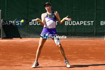 2024-07-19 - Fanny Stollar (HUN) playing duo Katarzyna Piter (POL) with during the semifinal match vs. Timea Babos (HUN) and Ellen Perez (AUS) at the WTA250 Hungarian Gran Prix Tennis on 18th July 2024 at Romai Teniszakademia, Budapest, Hungary - WTA HUNGARIAN GRAND PRIX - QUARTER FINALS  - INTERNATIONALS - TENNIS