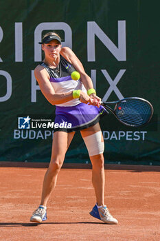 2024-07-19 - Fanny Stollar (HUN) playing duo Katarzyna Piter (POL) with during the semifinal match vs. Timea Babos (HUN) and Ellen Perez (AUS) at the WTA250 Hungarian Gran Prix Tennis on 18th July 2024 at Romai Teniszakademia, Budapest, Hungary - WTA HUNGARIAN GRAND PRIX - QUARTER FINALS  - INTERNATIONALS - TENNIS