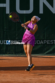 2024-07-19 - Diana Shnaider during the quarter finals match vs. Ella Seider (GER) at the WTA250 Hungarian Gran Prix Tennis on 19th July 2024 at Romai Teniszakademia, Budapest, Hungary - WTA HUNGARIAN GRAND PRIX - QUARTER FINALS  - INTERNATIONALS - TENNIS