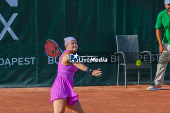 2024-07-19 - Diana Shnaider during the quarter finals match vs. Ella Seider (GER) at the WTA250 Hungarian Gran Prix Tennis on 19th July 2024 at Romai Teniszakademia, Budapest, Hungary - WTA HUNGARIAN GRAND PRIX - QUARTER FINALS  - INTERNATIONALS - TENNIS