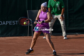 2024-07-19 - Diana Shnaider during the quarter finals match vs. Ella Seider (GER) at the WTA250 Hungarian Gran Prix Tennis on 19th July 2024 at Romai Teniszakademia, Budapest, Hungary - WTA HUNGARIAN GRAND PRIX - QUARTER FINALS  - INTERNATIONALS - TENNIS