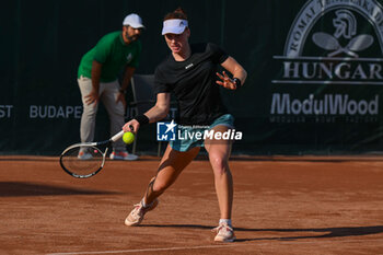 2024-07-19 - Ella Seider (GER) during the quarter finals match vs. Diana Shnaider at the WTA250 Hungarian Gran Prix Tennis on 19th July 2024 at Romai Teniszakademia, Budapest, Hungary - WTA HUNGARIAN GRAND PRIX - QUARTER FINALS  - INTERNATIONALS - TENNIS