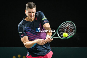 2024-10-29 - Hubert HURKACZ of Poland during the second day of the Rolex Paris Masters 2024, ATP Masters 1000 tennis tournament on October 29, 2024 at Accor Arena in Paris, France - TENNIS - ROLEX PARIS MASTERS 2024 - INTERNATIONALS - TENNIS