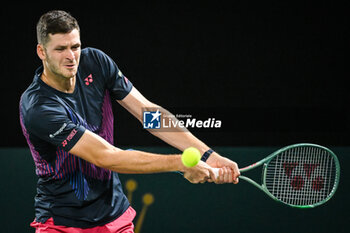 2024-10-29 - Hubert HURKACZ of Poland during the second day of the Rolex Paris Masters 2024, ATP Masters 1000 tennis tournament on October 29, 2024 at Accor Arena in Paris, France - TENNIS - ROLEX PARIS MASTERS 2024 - INTERNATIONALS - TENNIS