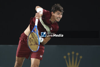 2024-10-29 - Alexei Popyrin of Australia during day 2 of the Rolex Paris Masters 2024, an ATP Masters 1000 tennis tournament on 29 October 2024 at Accor Arena in Paris, France - TENNIS - ROLEX PARIS MASTERS 2024 - INTERNATIONALS - TENNIS