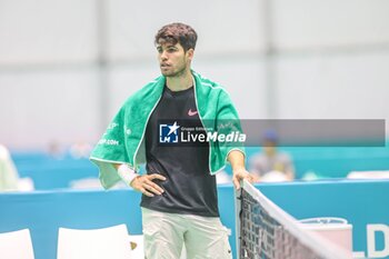 2024-11-17 - November 16, 2024 (Malaga) Carlos Alcaraz is already starting to prepare for the Davis Cup that will be played this week in Malaga. Today he has performed his first training at the Martin Carpena in Malaga Cordon Press - DAVIS CUP - CARLOS ALCARAZ - TRAINING - INTERNATIONALS - TENNIS