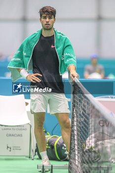 2024-11-17 - November 16, 2024 (Malaga) Carlos Alcaraz is already starting to prepare for the Davis Cup that will be played this week in Malaga. Today he has performed his first training at the Martin Carpena in Malaga Cordon Press - DAVIS CUP - CARLOS ALCARAZ - TRAINING - INTERNATIONALS - TENNIS