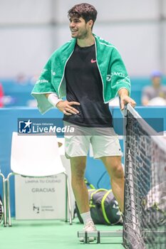 2024-11-17 - November 16, 2024 (Malaga) Carlos Alcaraz is already starting to prepare for the Davis Cup that will be played this week in Malaga. Today he has performed his first training at the Martin Carpena in Malaga Cordon Press - DAVIS CUP - CARLOS ALCARAZ - TRAINING - INTERNATIONALS - TENNIS