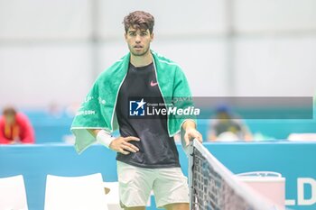 2024-11-17 - November 16, 2024 (Malaga) Carlos Alcaraz is already starting to prepare for the Davis Cup that will be played this week in Malaga. Today he has performed his first training at the Martin Carpena in Malaga Cordon Press - DAVIS CUP - CARLOS ALCARAZ - TRAINING - INTERNATIONALS - TENNIS