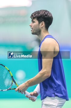 2024-11-17 - November 16, 2024 (Malaga) Carlos Alcaraz is already starting to prepare for the Davis Cup that will be played this week in Malaga. Today he has performed his first training at the Martin Carpena in Malaga Cordon Press - DAVIS CUP - CARLOS ALCARAZ - TRAINING - INTERNATIONALS - TENNIS