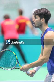 2024-11-17 - November 16, 2024 (Malaga) Carlos Alcaraz is already starting to prepare for the Davis Cup that will be played this week in Malaga. Today he has performed his first training at the Martin Carpena in Malaga Cordon Press - DAVIS CUP - CARLOS ALCARAZ - TRAINING - INTERNATIONALS - TENNIS