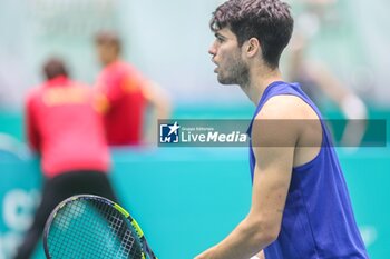 2024-11-17 - November 16, 2024 (Malaga) Carlos Alcaraz is already starting to prepare for the Davis Cup that will be played this week in Malaga. Today he has performed his first training at the Martin Carpena in Malaga Cordon Press - DAVIS CUP - CARLOS ALCARAZ - TRAINING - INTERNATIONALS - TENNIS