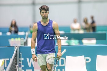 2024-11-17 - November 16, 2024 (Malaga) Carlos Alcaraz is already starting to prepare for the Davis Cup that will be played this week in Malaga. Today he has performed his first training at the Martin Carpena in Malaga Cordon Press - DAVIS CUP - CARLOS ALCARAZ - TRAINING - INTERNATIONALS - TENNIS