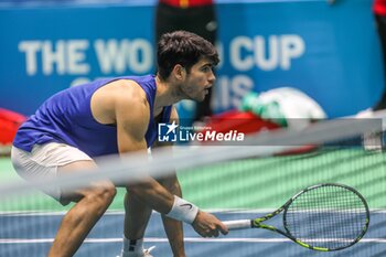 2024-11-17 - November 16, 2024 (Malaga) Carlos Alcaraz is already starting to prepare for the Davis Cup that will be played this week in Malaga. Today he has performed his first training at the Martin Carpena in Malaga Cordon Press - DAVIS CUP - CARLOS ALCARAZ - TRAINING - INTERNATIONALS - TENNIS