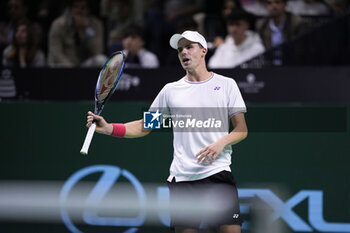 2024-11-22 - Daniel Altmaier of Germany in action against Botic Van de Zandschulp of Netherlands during the Davis Cup 2024, Semi-Finals tennis event between Germany and Netherlands on November 22, 2024 at Martin Carpena Pavilion in Malaga, Spain - TENNIS - DAVIS CUP 2024 - 1/2 - GERMANY V NETHERLANDS - INTERNATIONALS - TENNIS