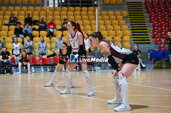 07/11/2024 - R.M. Tucmeanu, Sorina Miclaus and Thanacha Sook, during the match valid for the Volleyball Challenge Cup 2025 competition played in Rome on 07.11.2024 - ROMA VOLLEY VS RAPID BUCARESTI - CHALLENGE CUP WOMEN - VOLLEY