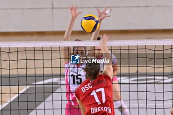 14/09/2024 - Actions of the game and players' images during the match between IDresdner Sportclub 1898 (GER) vs Volleyball Club OTP Banka Branik (SLO) at Dresdner Sportclub 1898 (GER) vs Volleyball Club OTP Banka Branik (SLO) Zoppas Arena Conegliano 14 September 2024, in the 2° Trofeo Citta di Conegliano - 2° TORNEO CITTà DI CONEGLIANO - DRESDNER SPORTCLUB VS VOLLEYBALL CLUB OTP - EVENTI - VOLLEY