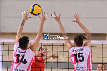 14/09/2024 - Actions of the game and players' images during the match between IDresdner Sportclub 1898 (GER) vs Volleyball Club OTP Banka Branik (SLO) at Dresdner Sportclub 1898 (GER) vs Volleyball Club OTP Banka Branik (SLO) Zoppas Arena Conegliano 14 September 2024, in the 2° Trofeo Citta di Conegliano - 2° TORNEO CITTà DI CONEGLIANO - DRESDNER SPORTCLUB VS VOLLEYBALL CLUB OTP - EVENTI - VOLLEY