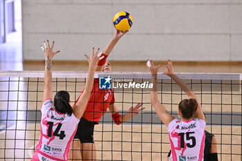 14/09/2024 - Actions of the game and players' images during the match between IDresdner Sportclub 1898 (GER) vs Volleyball Club OTP Banka Branik (SLO) at Dresdner Sportclub 1898 (GER) vs Volleyball Club OTP Banka Branik (SLO) Zoppas Arena Conegliano 14 September 2024, in the 2° Trofeo Citta di Conegliano - 2° TORNEO CITTà DI CONEGLIANO - DRESDNER SPORTCLUB VS VOLLEYBALL CLUB OTP - EVENTI - VOLLEY