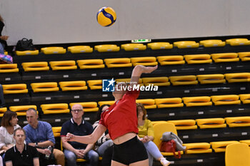 14/09/2024 - Actions of the game and players' images during the match between IDresdner Sportclub 1898 (GER) vs Volleyball Club OTP Banka Branik (SLO) at Dresdner Sportclub 1898 (GER) vs Volleyball Club OTP Banka Branik (SLO) Zoppas Arena Conegliano 14 September 2024, in the 2° Trofeo Citta di Conegliano - 2° TORNEO CITTà DI CONEGLIANO - DRESDNER SPORTCLUB VS VOLLEYBALL CLUB OTP - EVENTI - VOLLEY