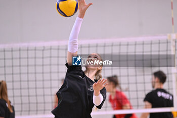 14/09/2024 - Actions of the game and players' images during the match between IDresdner Sportclub 1898 (GER) vs Volleyball Club OTP Banka Branik (SLO) at Dresdner Sportclub 1898 (GER) vs Volleyball Club OTP Banka Branik (SLO) Zoppas Arena Conegliano 14 September 2024, in the 2° Trofeo Citta di Conegliano - 2° TORNEO CITTà DI CONEGLIANO - DRESDNER SPORTCLUB VS VOLLEYBALL CLUB OTP - EVENTI - VOLLEY