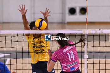 14/09/2024 - Actions of the game and players' images during the match between Prosecco Doc Imoco Volley Conegliano vs Zeleznicar Lajkovac (SRB) at Zoppas Arena Conegliano 14 September 2024, in the 2° Trofeo Citta di Conegliano - 2° TORNEO CITTà DI CONEGLIANO - PROSECCO DOC IMOCO CONEGLIANO VS ZELEZNICAR LAJKOVA - EVENTI - VOLLEY