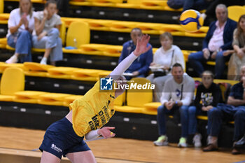 14/09/2024 - Actions of the game and players' images during the match between Prosecco Doc Imoco Volley Conegliano vs Zeleznicar Lajkovac (SRB) at Zoppas Arena Conegliano 14 September 2024, in the 2° Trofeo Citta di Conegliano - 2° TORNEO CITTà DI CONEGLIANO - PROSECCO DOC IMOCO CONEGLIANO VS ZELEZNICAR LAJKOVA - EVENTI - VOLLEY