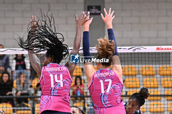 2024-09-20 - Actions of the game and players' images during the match between Vero Volley Milano and Savino Del Bene Scandicci match at Courmayeur Sport Center - 20th September 2024, during the Courmayeur Cup 24 - COURMAYEUR CUP - VERO VOLLEY MILANO VS SAVINO DEL BENE SCANDICCI - EVENTS - VOLLEYBALL