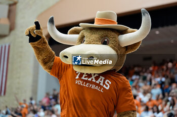 18/10/2024 - Texas Longhorns mascot Hook ‘Em - NCAA - TEXAS WOMEN VS ARKANSAS WOMEN - EVENTI - VOLLEY