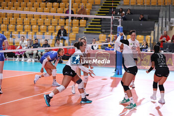 2024-09-18 - CD Heidelberg Volkswagen during the Volleyball WEVZA CUP Women between Bezier VB and Heidelberg Volkswagen on 18 sept 2024 at the Palazzetto dello Sport in Rome. - VOLLEYBALL WEVZA CUP WOMEN - INTERNATIONALS - VOLLEYBALL