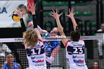 2024-01-14 - Spike of Isabelle Haak ( Prosecco Doc Imoco Conegliano ) - PROSECCO DOC IMOCO CONEGLIANO VS REALE MUTUA FENERA CHIERI 76 - SERIE A1 WOMEN - VOLLEYBALL