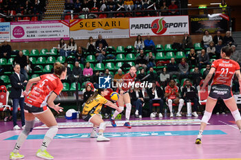 2024-03-03 - Alice
Tanase (Cuneo) - Serena
Scognamillo (Cuneo) - Madison
Kubik (Cuneo) - Beatrice
Molinaro (Cuneo) - CUNEO GRANDA VOLLEY VS UYBA VOLLEY BUSTO ARSIZIO - SERIE A1 WOMEN - VOLLEYBALL