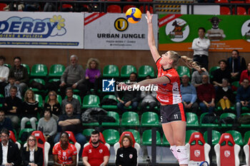 2024-03-06 - Anneclaire
Ter Brugge (Cuneo) - CUNEO GRANDA VOLLEY VS ROMA VOLLEY CLUB - SERIE A1 WOMEN - VOLLEYBALL