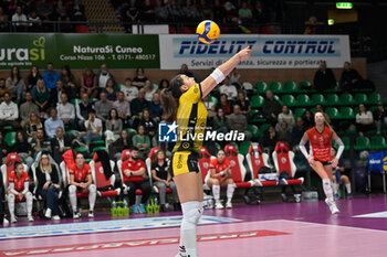 2024-10-27 - Sara
Panetoni (Cuneo) - HONDA OLIVERO S.BERNARDO CUNEO  VS VERO VOLLEY MILANO - SERIE A1 WOMEN - VOLLEYBALL