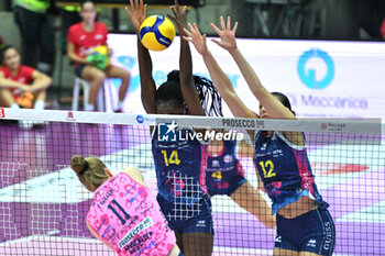 03/11/2024 - Spike of Isabelle Haak ( Prosecco Doc Imoco Conegliano ) during the Prosecco Doc Imoco Conegliano and Savino Del Bene Scandicci match at PalaVerde Villorba (TV) - 3th Novembre 2024, during the VOLLEYBALL - SERIE A1 WOMEN - PROSECCO DOC IMOCO CONEGLIANO VS SAVINO DEL BENE SCANDICCI - SERIE A1 FEMMINILE - VOLLEY