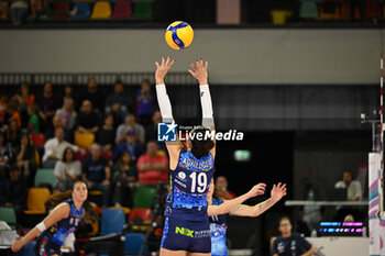 2024-11-03 - Beatrice Agrifoglio (Il Bisonte Firenze) setter - IL BISONTE FIRENZE VS IGOR GORGONZOLA NOVARA - SERIE A1 WOMEN - VOLLEYBALL