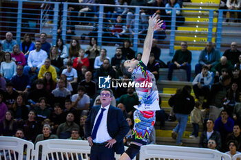 2024-02-14 - (Sir Safety Susa Vim Perugia) Colaci Massimo - CISTERNA VOLLEY VS SIR SAFETY SUSA VIM PERUGIA - SUPERLEAGUE SERIE A - VOLLEYBALL