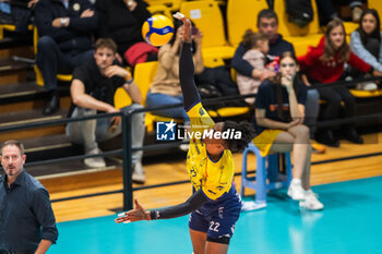 2024-11-10 - Gutierrez Jose Miguel ( Valsa Group Modena ) - VALSA GROUP MODENA VS CISTERNA VOLLEY - SUPERLEAGUE SERIE A - VOLLEYBALL