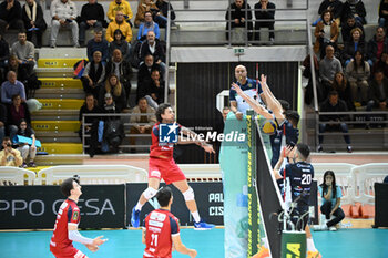 16/11/2024 - Held Tim attack (Gioiella Prisma Taranto) - CISTERNA VOLLEY VS GIOIELLA PRISMA TARANTO - SUPERLEGA SERIE A - VOLLEY