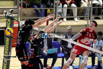 2024-11-24 - Hofer Brodie Prisma Taranto in attack. - GIOIELLA PRISMA TARANTO VS CUCINE LUBE CIVITANOVA - SUPERLEAGUE SERIE A - VOLLEYBALL