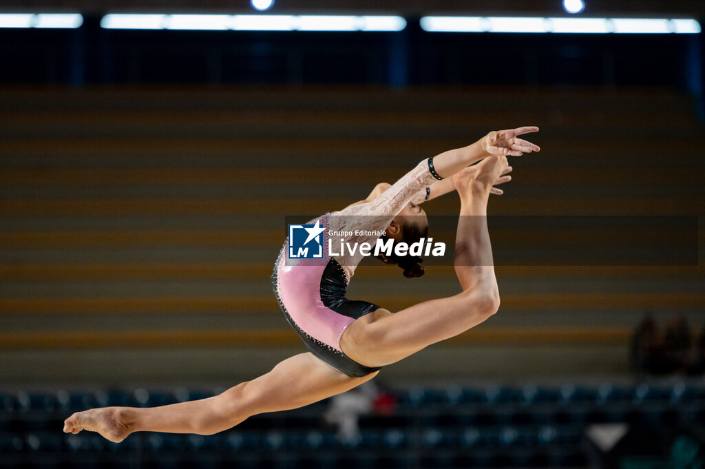 Coppa Campioni - Ginnastica Artistica Maschile e Femminile - GINNASTICA - ALTRO