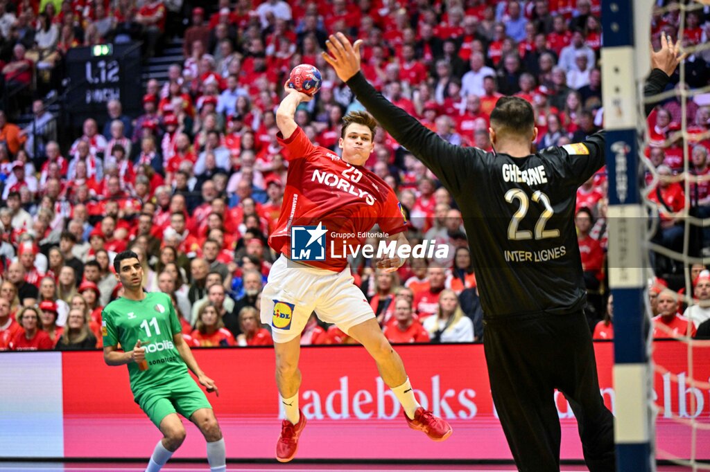 IHF Men's - Handball World Championship - Denmark vs Algeria - HANDBALL - OTHER SPORTS