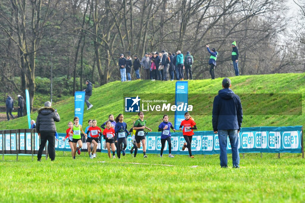 Eset Cross Challenge - INTERNATIONALS - ATHLETICS