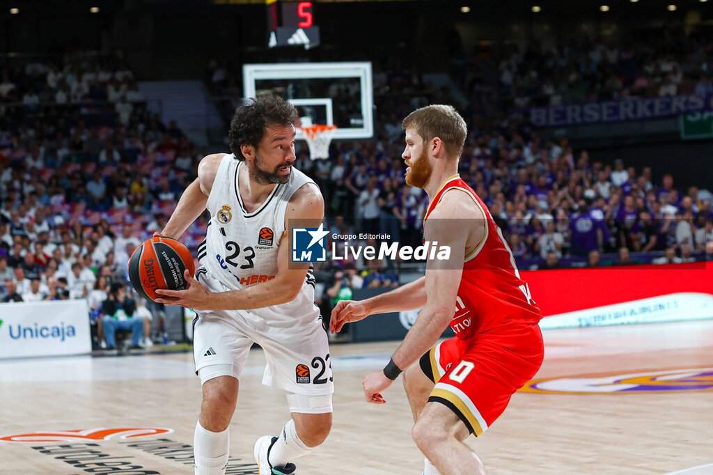 Euroleague -  Real Madrid vs Olympiacos Pireaus  - EUROLEAGUE - BASKETBALL