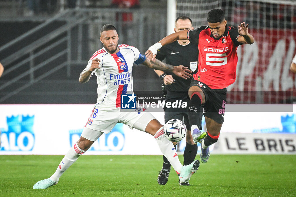 FOOTBALL - FRENCH CHAMP - RENNES v LYON - FRENCH LIGUE 1 - SOCCER
