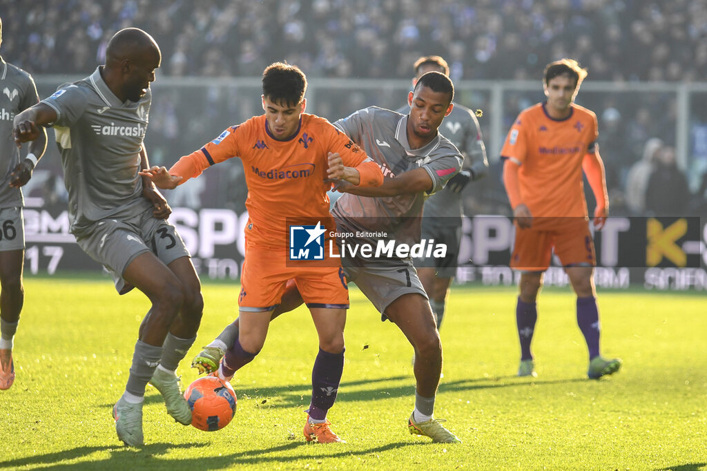 ACF Fiorentina vs Hellas Verona FC - ITALIAN SERIE A - SOCCER