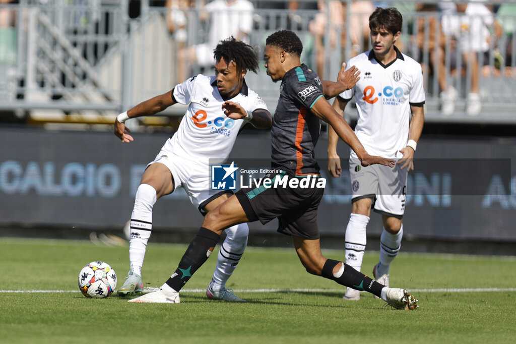 Venezia FC vs Cesena FC - SERIE B - CALCIO