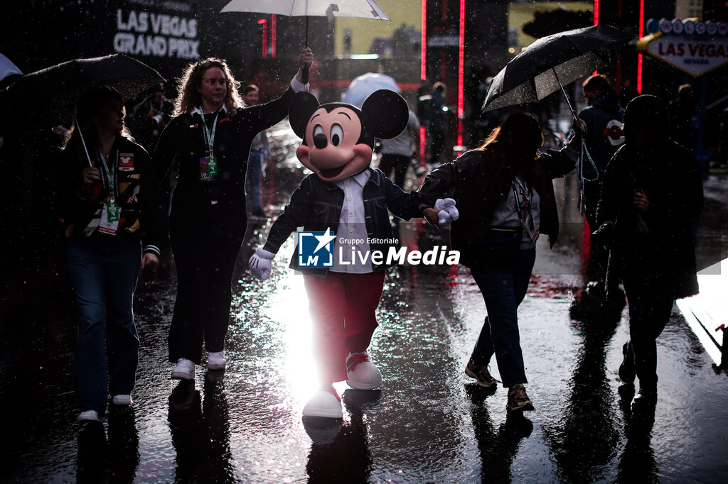 F1 - LAS VEGAS GRAND PRIX 2025 - FORMULA 1 - MOTORS