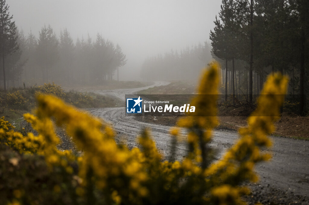 AUTO - WRC - RALLY CHILE 2025 - RALLY - MOTORI