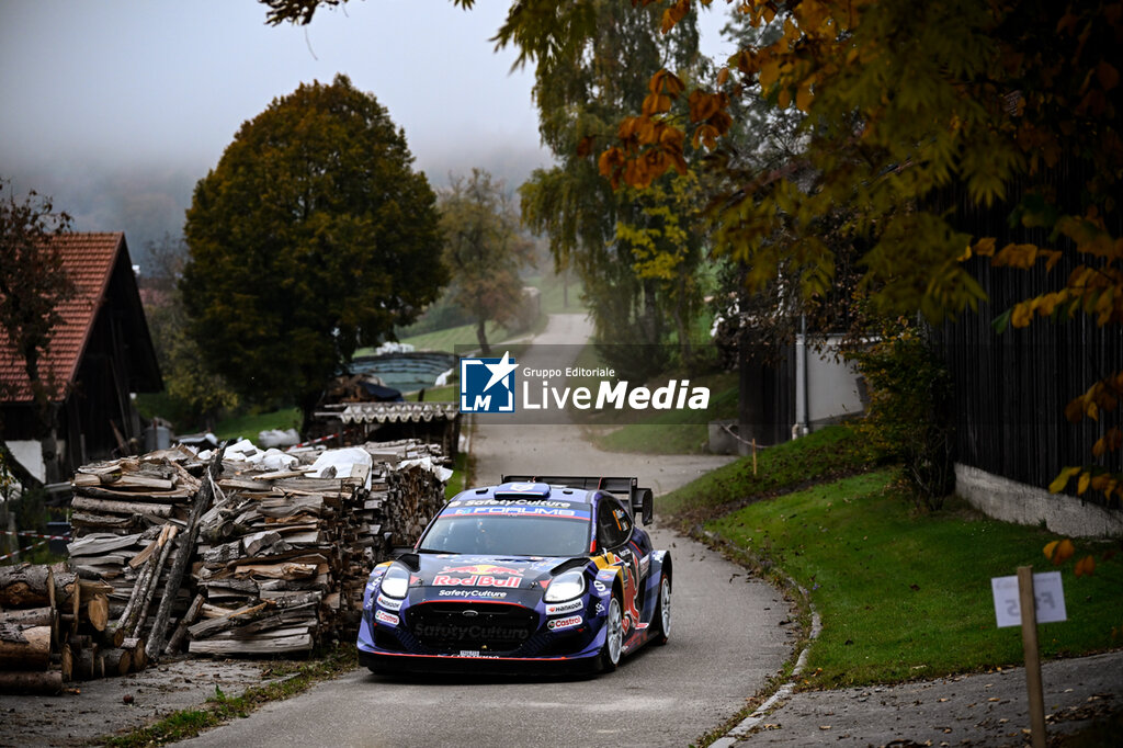 WRC Central European Rally - RALLY - MOTORS